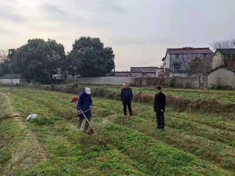 安庆市宜秀区罗岭镇黄梅村:春耕备耕正当时 乡村振兴有干劲